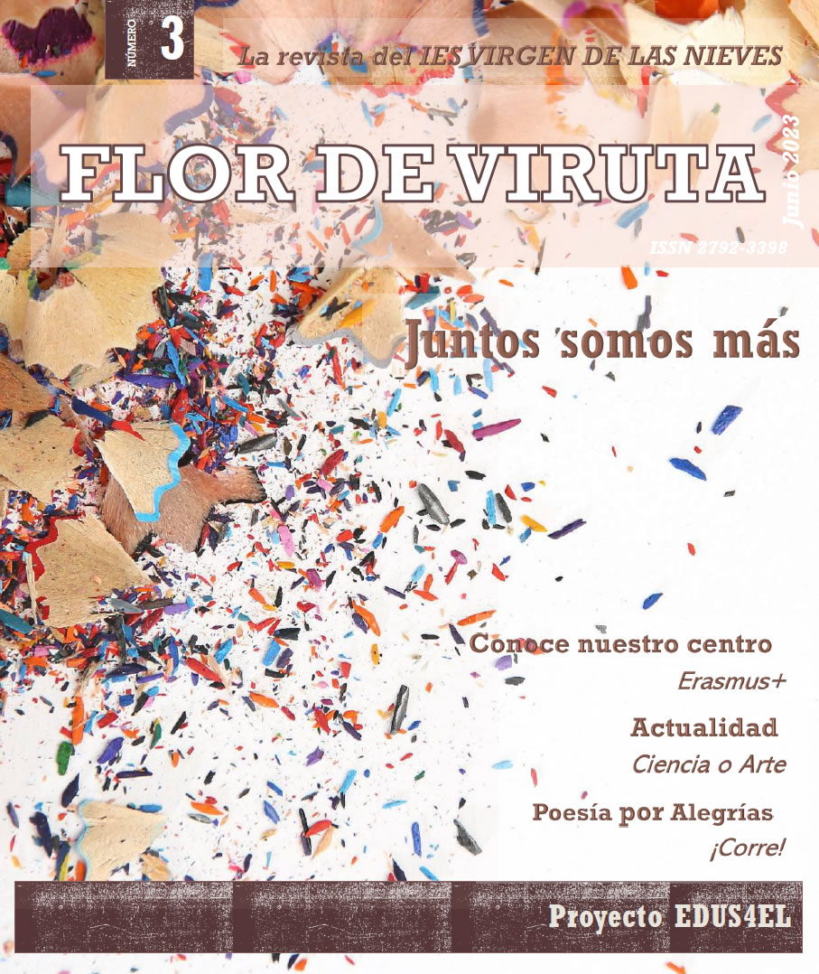 Flor de Viruta Nº 3: Juntos somos más
